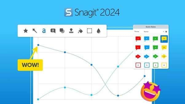 live stream video recorder software snagit