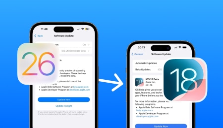 apple restrictions on downgrading