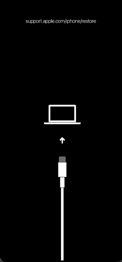 iPhone-Wiederherstellungsmodus