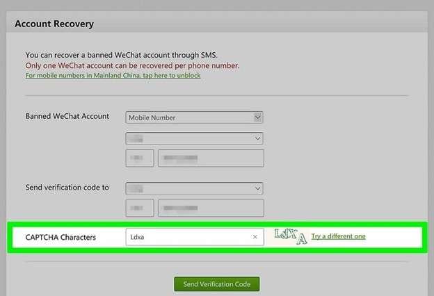 enter the captcha characters