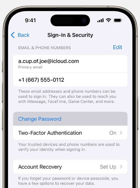what to do if someone trying to access my apple id