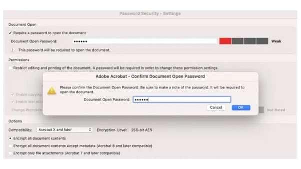 enter pdf doc password