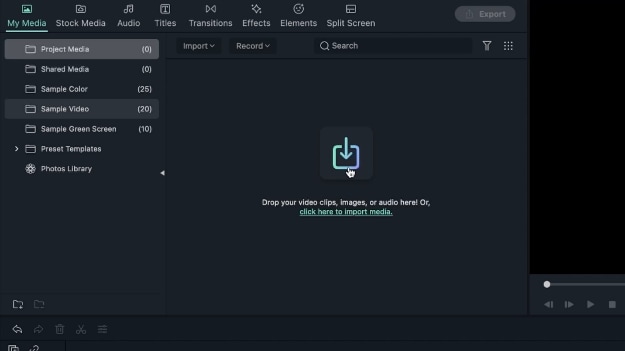 Importing the Audio File