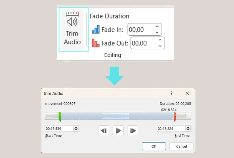 trim the audio