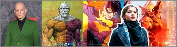 hawkgirl and metamorpho
