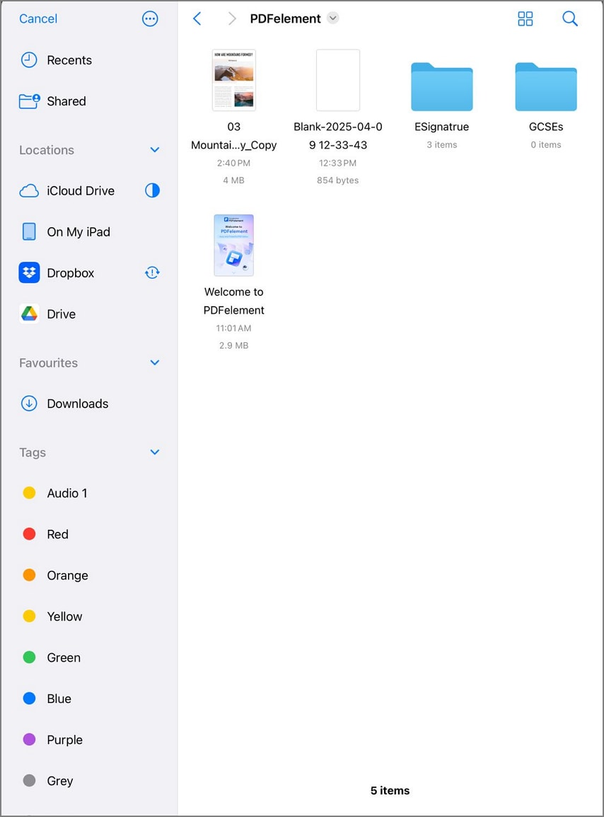 iPad local files