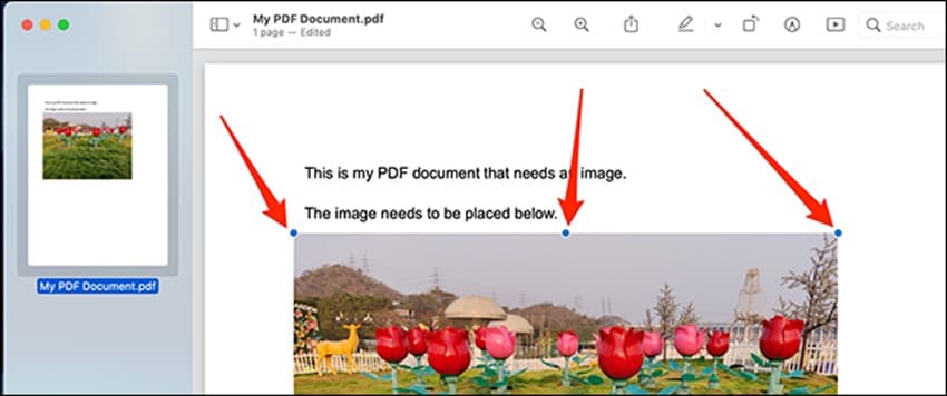 insert image pdf preview
