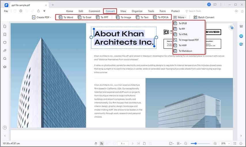 convert PDF to other format