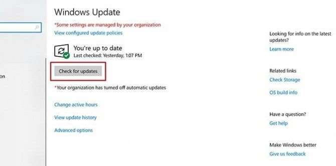 checking for updates on windows 10