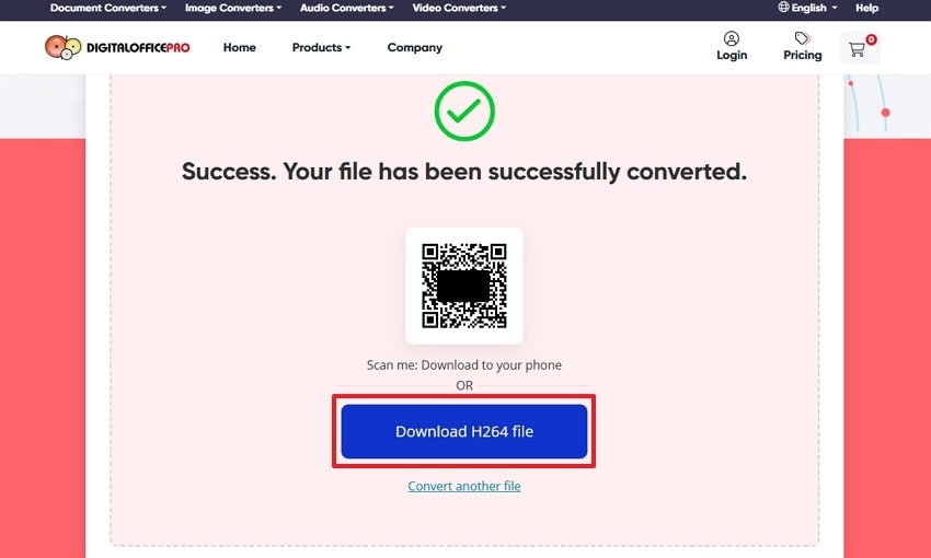 download h264 file