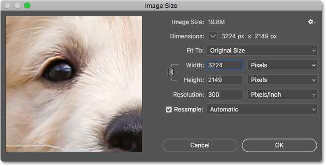 photoshop image resize options