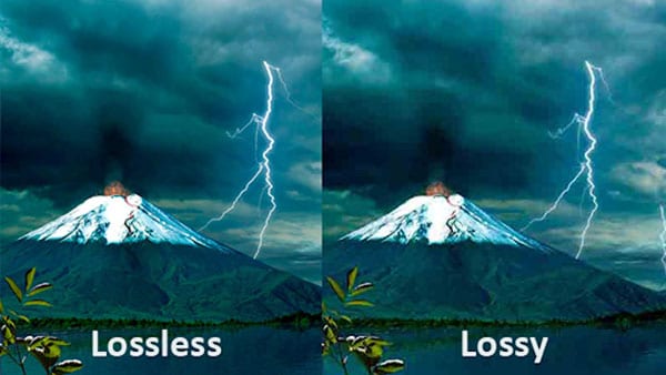 diferença entre com perdas e sem perdas