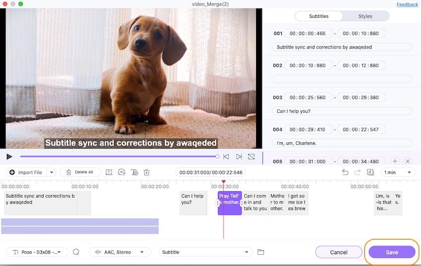 Salva il tuo video con i sottotitoli aggiunti